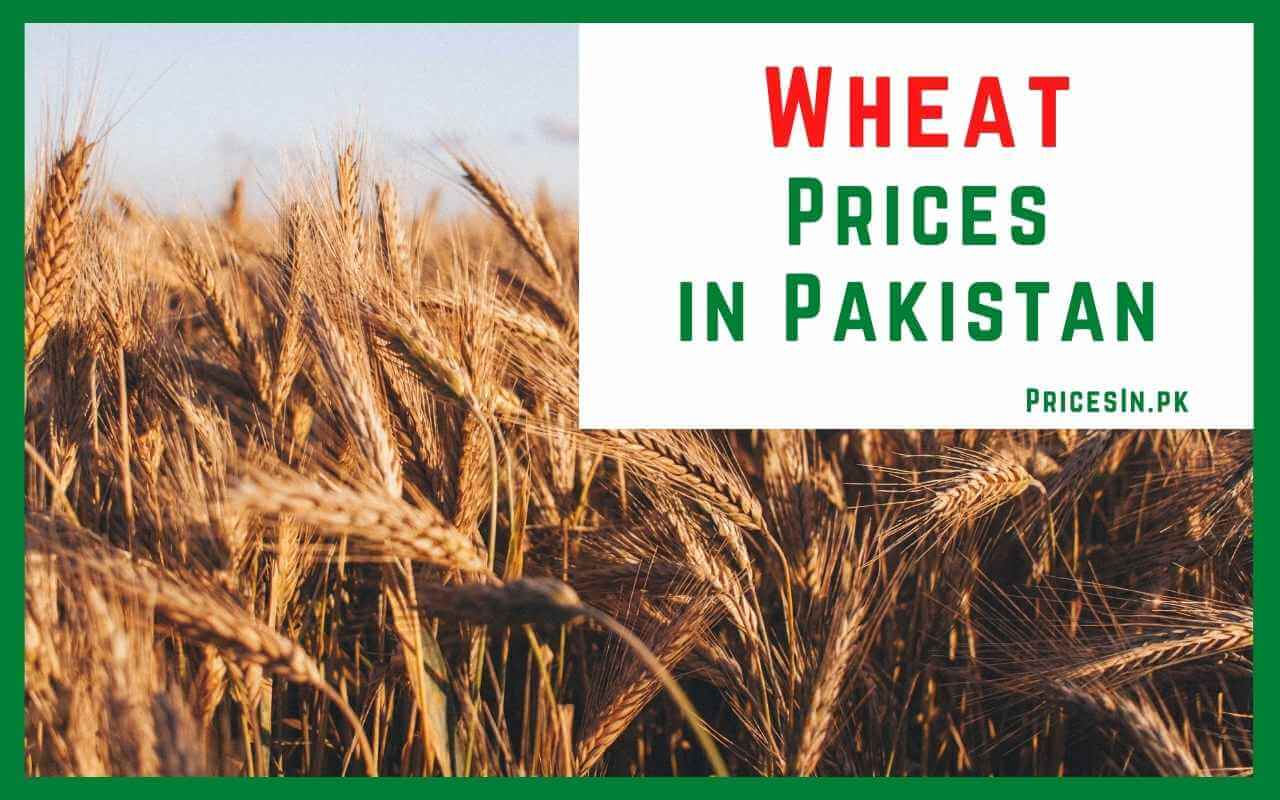 Wheat Prices in Pakistan 2023 Today Wheat Rate