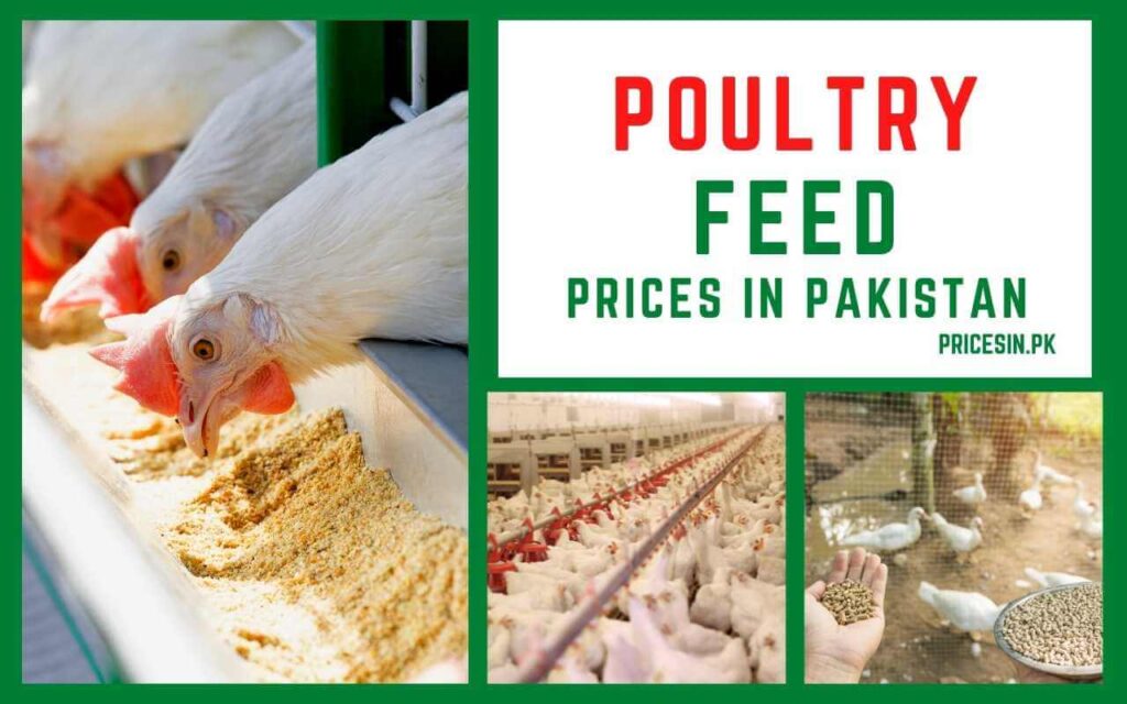 Poultry chicken Feed Prices in Pakistan