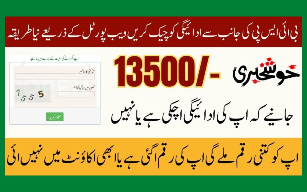 BISP 8171 Portal Re-Launch & June 2025 Payment Update